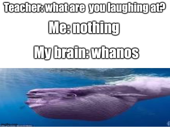 Remember kids parents says: dreams has a meaning | Teacher: what are  you laughing at? Me: nothing; My brain: whanos | image tagged in blank white template | made w/ Imgflip meme maker