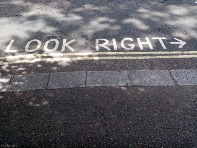 Look right | image tagged in look right | made w/ Imgflip meme maker