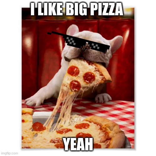 tyg9b | I LIKE BIG PIZZA; YEAH | image tagged in yubguo dogs | made w/ Imgflip meme maker