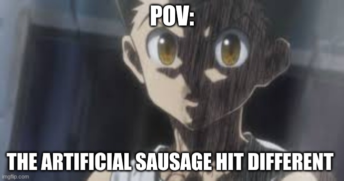 POV:; THE ARTIFICIAL SAUSAGE HIT DIFFERENT | image tagged in hxh,anime,lol | made w/ Imgflip meme maker