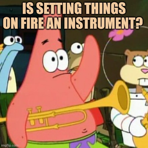 No Patrick Meme | IS SETTING THINGS ON FIRE AN INSTRUMENT? | image tagged in memes,no patrick | made w/ Imgflip meme maker