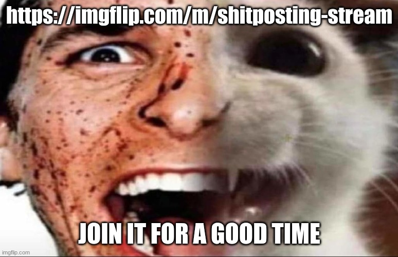 american psycho cat | https://imgflip.com/m/shitposting-stream; JOIN IT FOR A GOOD TIME | image tagged in american psycho cat | made w/ Imgflip meme maker