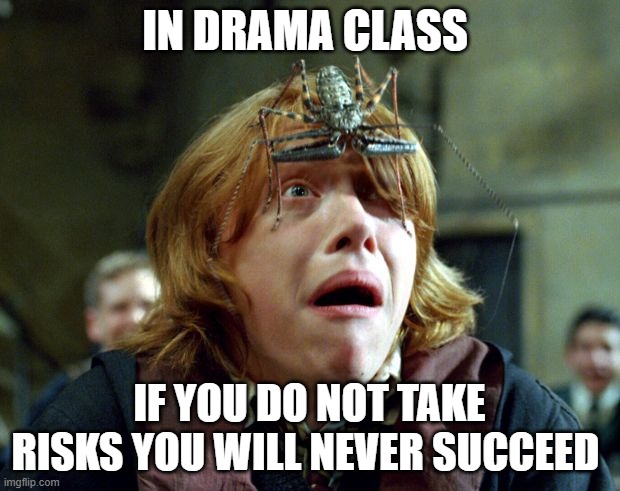 OH SHIT HARRY POTTER | IN DRAMA CLASS; IF YOU DO NOT TAKE RISKS YOU WILL NEVER SUCCEED | image tagged in oh shit harry potter | made w/ Imgflip meme maker