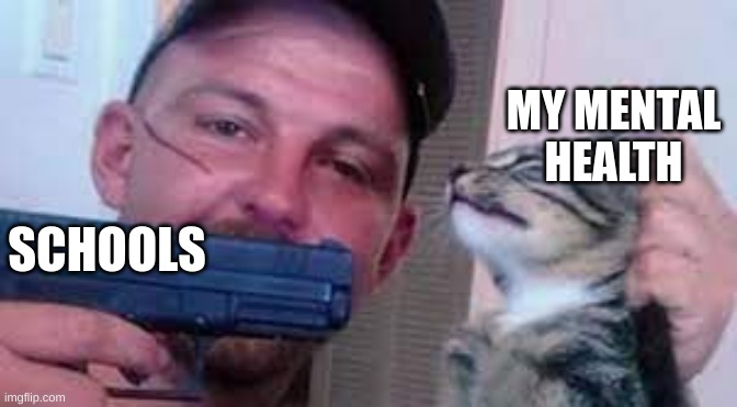 MY MENTAL HEALTH; SCHOOLS | image tagged in funny,funny memes,cats,guns | made w/ Imgflip meme maker