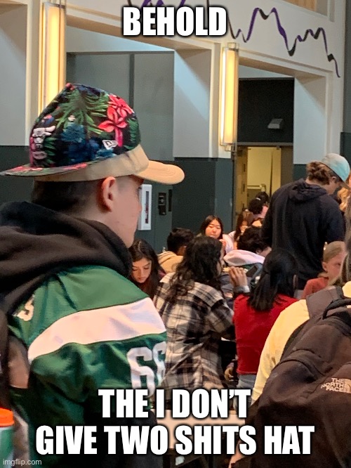 The I don’t give two shits hat | BEHOLD; THE I DON’T GIVE TWO SHITS HAT | image tagged in memes | made w/ Imgflip meme maker