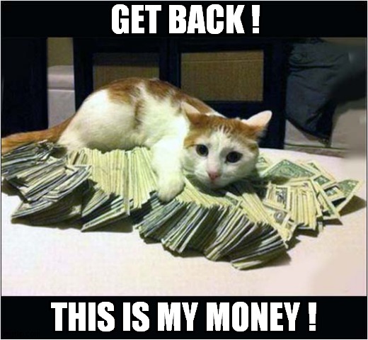 Be Afraid Of This Kitty Cat ! | GET BACK ! THIS IS MY MONEY ! | image tagged in cats,be afraid,money | made w/ Imgflip meme maker