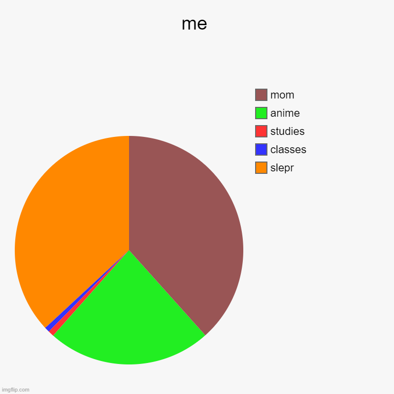 me | slepr, classes, studies, anime, mom | image tagged in charts,pie charts | made w/ Imgflip chart maker