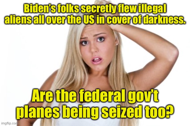 Dumb Blonde | Biden’s folks secretly flew illegal aliens all over the US in cover of darkness. Are the federal gov’t planes being seized too? | image tagged in dumb blonde | made w/ Imgflip meme maker