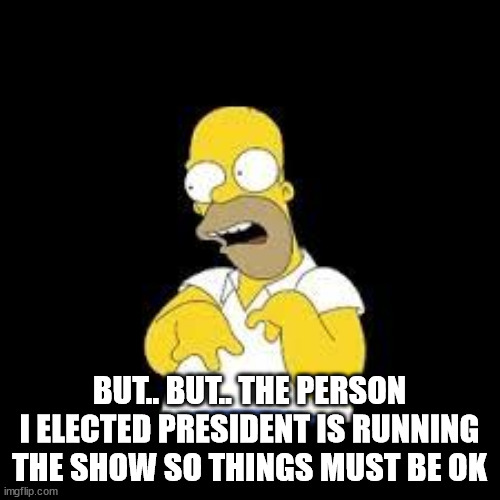 Look Marge | BUT.. BUT.. THE PERSON I ELECTED PRESIDENT IS RUNNING THE SHOW SO THINGS MUST BE OK | image tagged in look marge | made w/ Imgflip meme maker