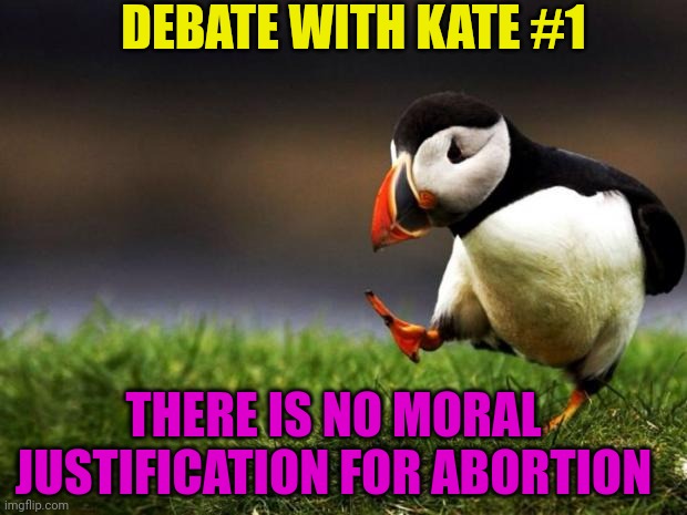 Is abortion ever justified? | DEBATE WITH KATE #1; THERE IS NO MORAL JUSTIFICATION FOR ABORTION | image tagged in memes,unpopular opinion puffin,debatewithkate | made w/ Imgflip meme maker
