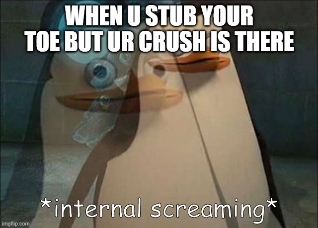 Private Internal Screaming | WHEN U STUB YOUR TOE BUT UR CRUSH IS THERE | image tagged in private internal screaming | made w/ Imgflip meme maker