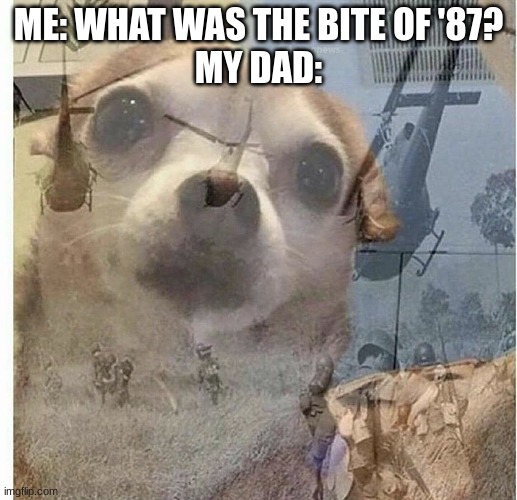 bite of 87 | ME: WHAT WAS THE BITE OF '87?
MY DAD: | image tagged in ptsd chihuahua | made w/ Imgflip meme maker