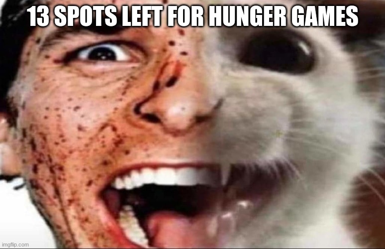 american psycho cat | 13 SPOTS LEFT FOR HUNGER GAMES | image tagged in american psycho cat | made w/ Imgflip meme maker