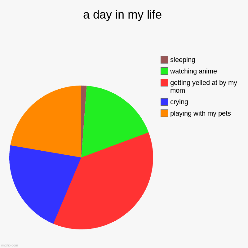 a day in my life | playing with my pets, crying, getting yelled at by my mom, watching anime, sleeping | image tagged in charts,pie charts | made w/ Imgflip chart maker