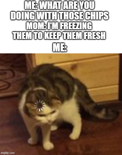 *Freezes chips |  ME: WHAT ARE YOU DOING WITH THOSE CHIPS; MOM: I'M FREEZING THEM TO KEEP THEM FRESH; ME: | image tagged in blank white template,loading cat | made w/ Imgflip meme maker