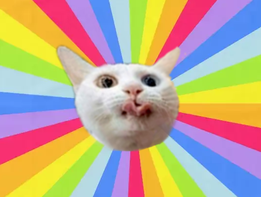 High Quality Cat Lick Blank Meme Template