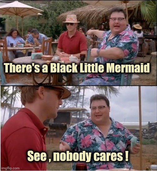 See Nobody Cares Meme | There's a Black Little Mermaid See , nobody cares ! | image tagged in memes,see nobody cares | made w/ Imgflip meme maker