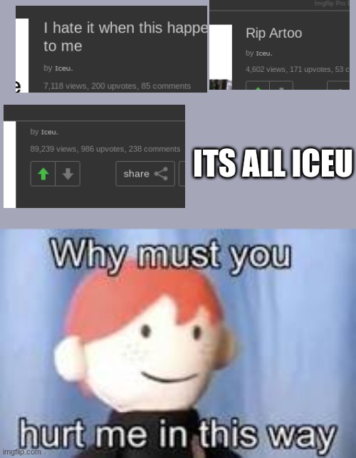 Iceu Is Everywhere | ITS ALL ICEU | image tagged in why must you hurt me in this way | made w/ Imgflip meme maker