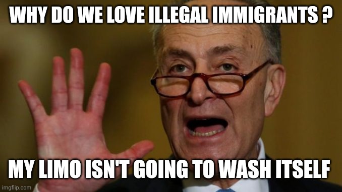 Chuck Schumer | WHY DO WE LOVE ILLEGAL IMMIGRANTS ? MY LIMO ISN'T GOING TO WASH ITSELF | image tagged in chuck schumer | made w/ Imgflip meme maker