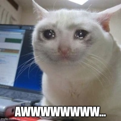 Crying cat | AWWWWWWWW... | image tagged in crying cat | made w/ Imgflip meme maker