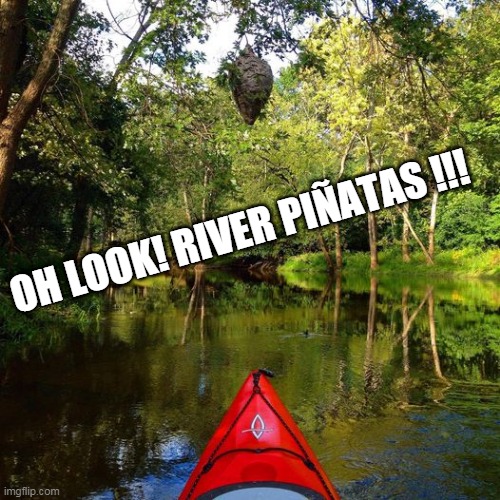River Pinatas | OH LOOK! RIVER PIÑATAS !!! | image tagged in kayak,pinata,memes | made w/ Imgflip meme maker