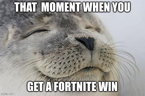 SEAL | THAT  MOMENT WHEN YOU; GET A FORTNITE WIN | image tagged in memes,satisfied seal | made w/ Imgflip meme maker