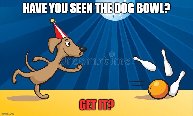 HAVE YOU SEEN THE DOG BOWL? GET IT? | made w/ Imgflip meme maker