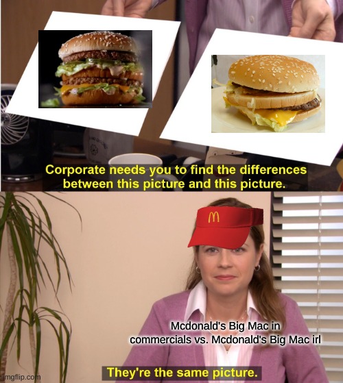 They're The Same Picture Meme | Mcdonald's Big Mac in commercials vs. Mcdonald's Big Mac irl | image tagged in memes,they're the same picture | made w/ Imgflip meme maker