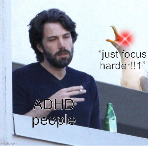 seagull screaming at guy | “just focus harder!!1”; ADHD people | image tagged in seagull screaming at guy | made w/ Imgflip meme maker