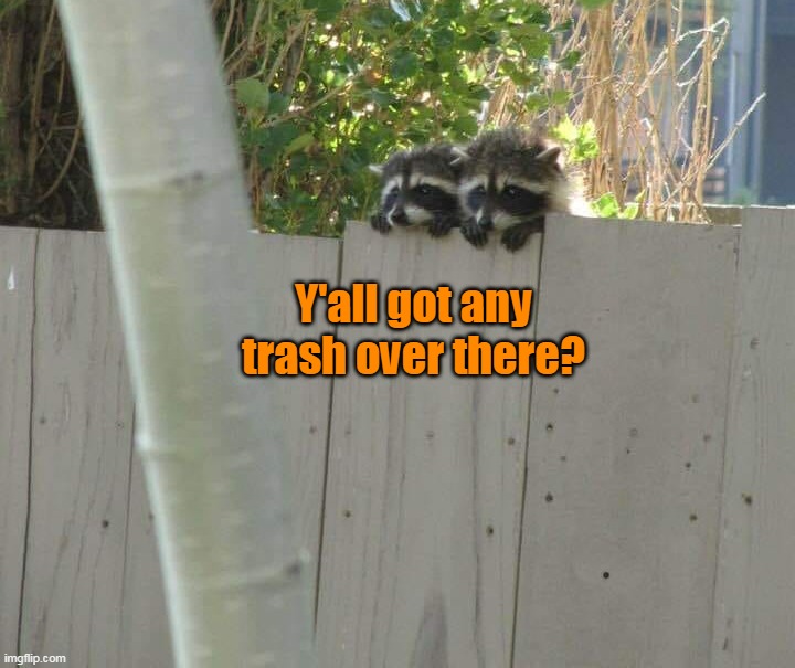 Y'all got any trash over there? | image tagged in meme,memes,humor | made w/ Imgflip meme maker