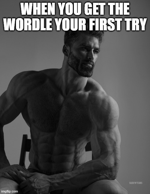 this never happened to me | WHEN YOU GET THE WORDLE YOUR FIRST TRY | image tagged in giga chad | made w/ Imgflip meme maker