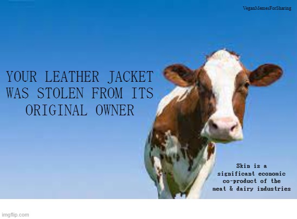 Leather | image tagged in vegan,veganism,jacket,handbag,shoes,suede | made w/ Imgflip meme maker