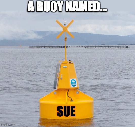Johnny Cash | A BUOY NAMED... SUE | image tagged in bad pun | made w/ Imgflip meme maker