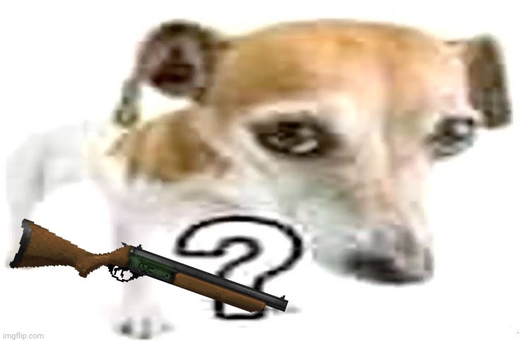 Question mark Jack Russell terrier | image tagged in question mark jack russell terrier | made w/ Imgflip meme maker