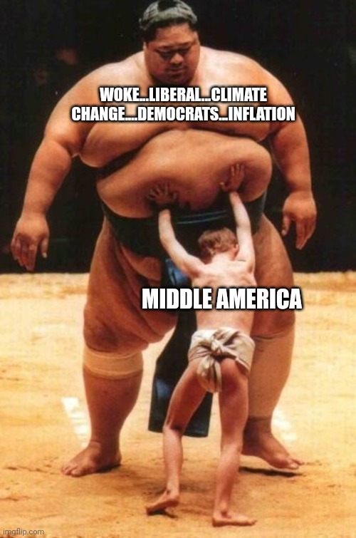When a picture says it all | WOKE...LIBERAL...CLIMATE CHANGE....DEMOCRATS...INFLATION; MIDDLE AMERICA | image tagged in young sumo kid | made w/ Imgflip meme maker