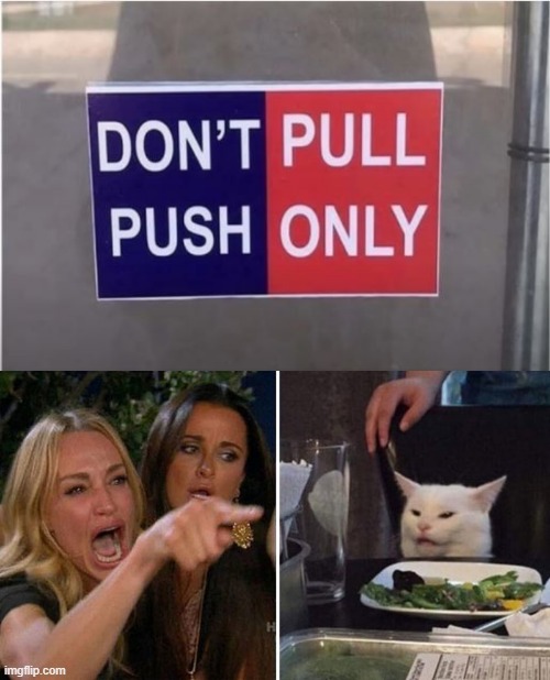 I Mean....... | image tagged in woman yelling at white cat | made w/ Imgflip meme maker