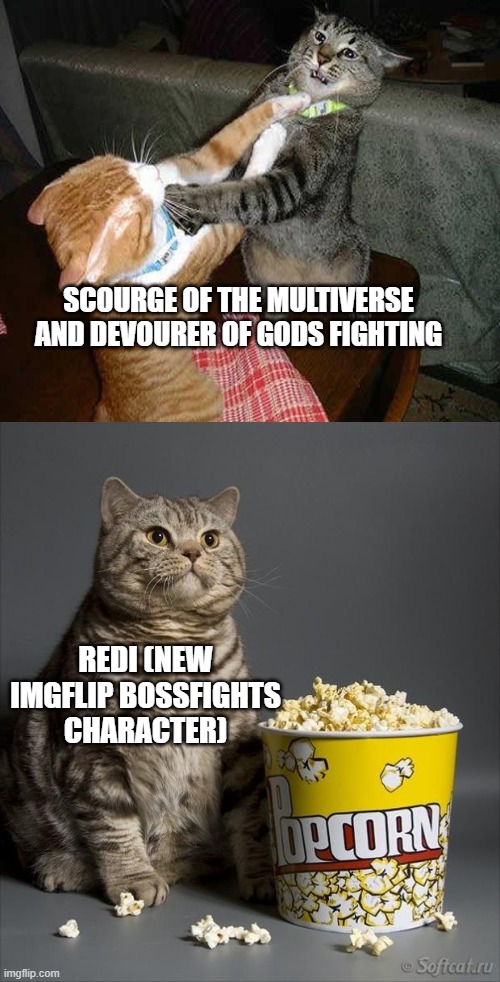 Redi and Collector might team up (look at the post below this one) | SCOURGE OF THE MULTIVERSE AND DEVOURER OF GODS FIGHTING; REDI (NEW IMGFLIP BOSSFIGHTS CHARACTER) | image tagged in cat watching other cats fight | made w/ Imgflip meme maker