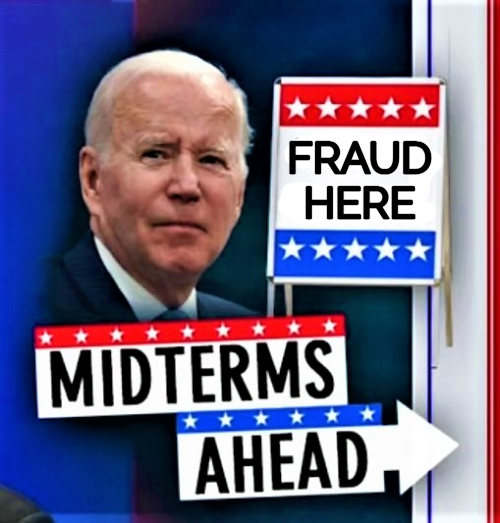 High Quality Democrats midterms Blank Meme Template