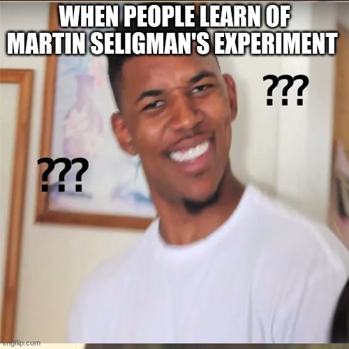 Jabriel's meme | WHEN PEOPLE LEARN OF MARTIN SELIGMAN'S EXPERIMENT | image tagged in memes | made w/ Imgflip meme maker