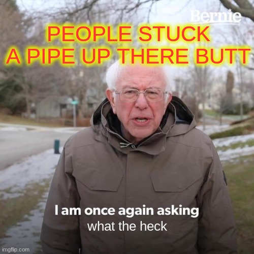 Bernie I Am Once Again Asking For Your Support Meme | PEOPLE STUCK A PIPE UP THERE BUTT; what the heck | image tagged in memes,bernie i am once again asking for your support | made w/ Imgflip meme maker