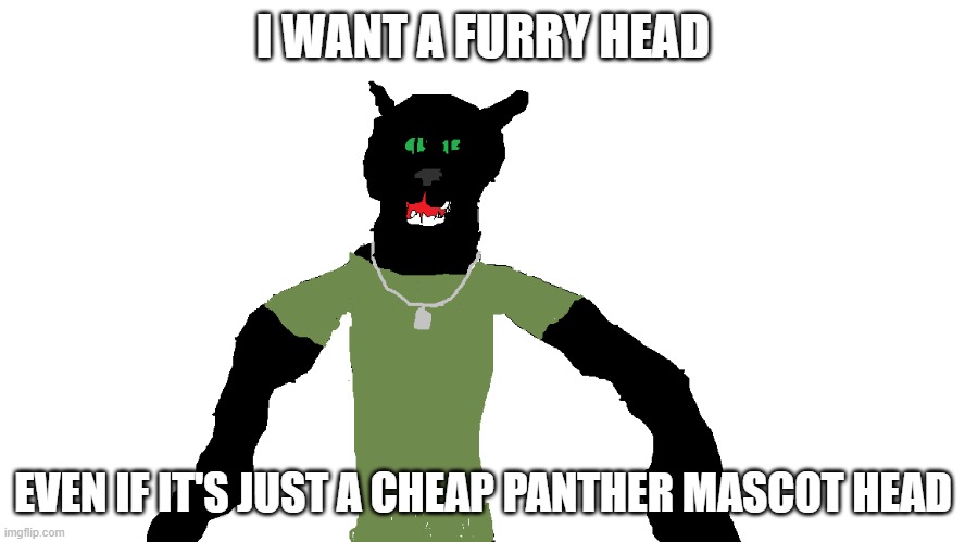 My panther fursona | I WANT A FURRY HEAD; EVEN IF IT'S JUST A CHEAP PANTHER MASCOT HEAD | image tagged in my panther fursona | made w/ Imgflip meme maker