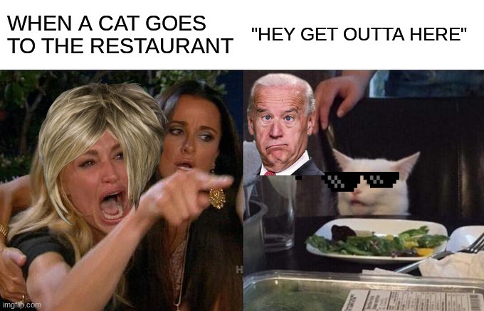 fvw | WHEN A CAT GOES TO THE RESTAURANT; "HEY GET OUTTA HERE" | image tagged in memes,woman yelling at cat | made w/ Imgflip meme maker
