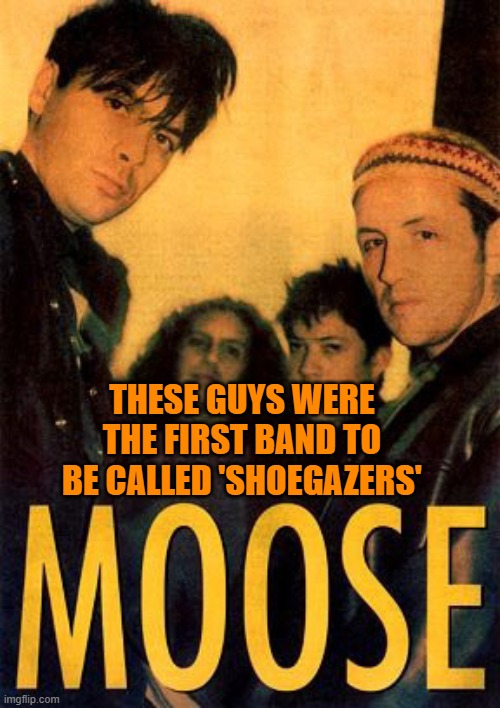 First Shoegaze band | THESE GUYS WERE THE FIRST BAND TO BE CALLED 'SHOEGAZERS' | image tagged in moose,shoegaze,shoegazing,shoegazer,history,music | made w/ Imgflip meme maker