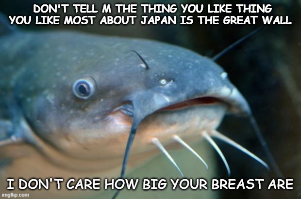 More Catfish | DON'T TELL M THE THING YOU LIKE THING YOU LIKE MOST ABOUT JAPAN IS THE GREAT WALL; I DON'T CARE HOW BIG YOUR BREAST ARE | image tagged in catfish catfish,dating | made w/ Imgflip meme maker