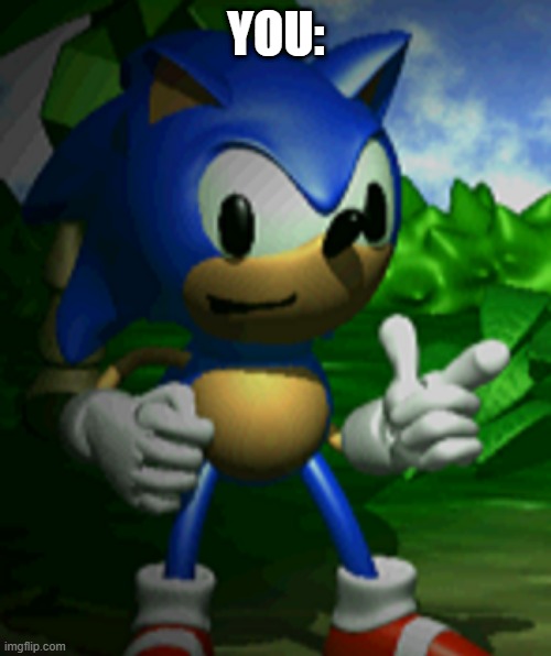 derpy sonic | YOU: | image tagged in derpy sonic | made w/ Imgflip meme maker