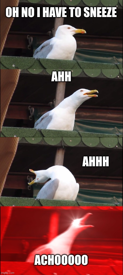 I HAVE TO SNEEZE | OH NO I HAVE TO SNEEZE; AHH; AHHH; ACHOOOOO | image tagged in memes,inhaling seagull | made w/ Imgflip meme maker