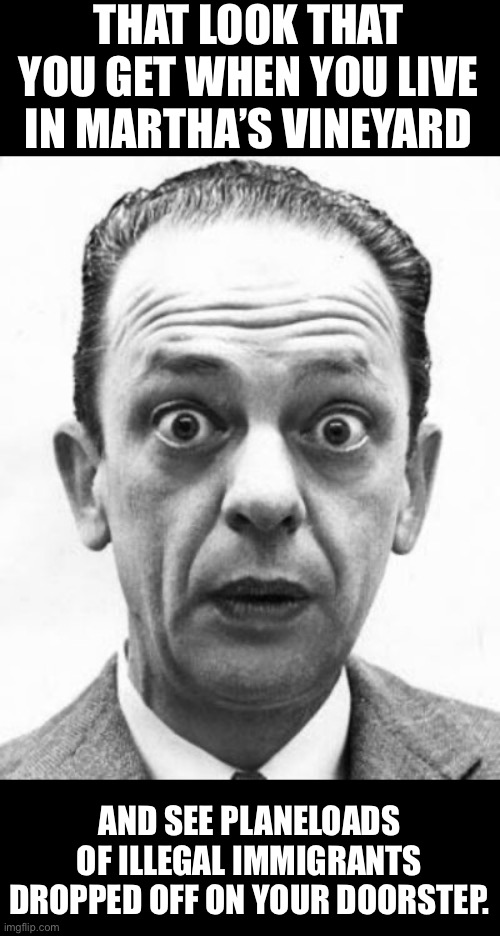 Martha’s Vineyard | THAT LOOK THAT YOU GET WHEN YOU LIVE IN MARTHA’S VINEYARD; AND SEE PLANELOADS OF ILLEGAL IMMIGRANTS DROPPED OFF ON YOUR DOORSTEP. | image tagged in don knotts shocked | made w/ Imgflip meme maker