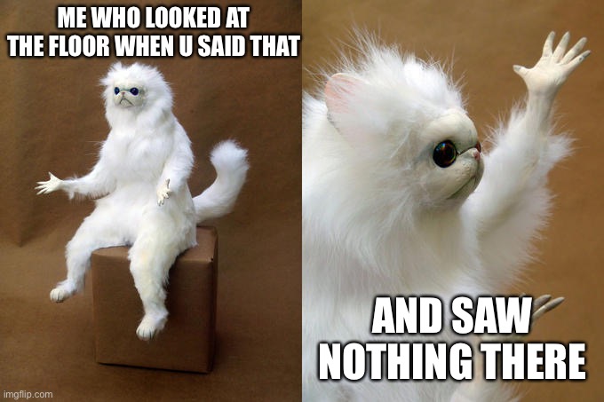 Persian Cat Room Guardian Meme | ME WHO LOOKED AT THE FLOOR WHEN U SAID THAT AND SAW NOTHING THERE | image tagged in memes,persian cat room guardian | made w/ Imgflip meme maker