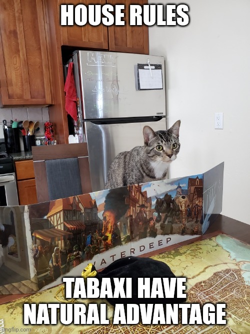 HOUSE RULES; TABAXI HAVE NATURAL ADVANTAGE | image tagged in dndmemes | made w/ Imgflip meme maker