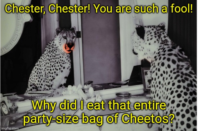 Chester cheetah | Chester, Chester! You are such a fool! Why did I eat that entire party-size bag of Cheetos? | image tagged in chester the cat | made w/ Imgflip meme maker